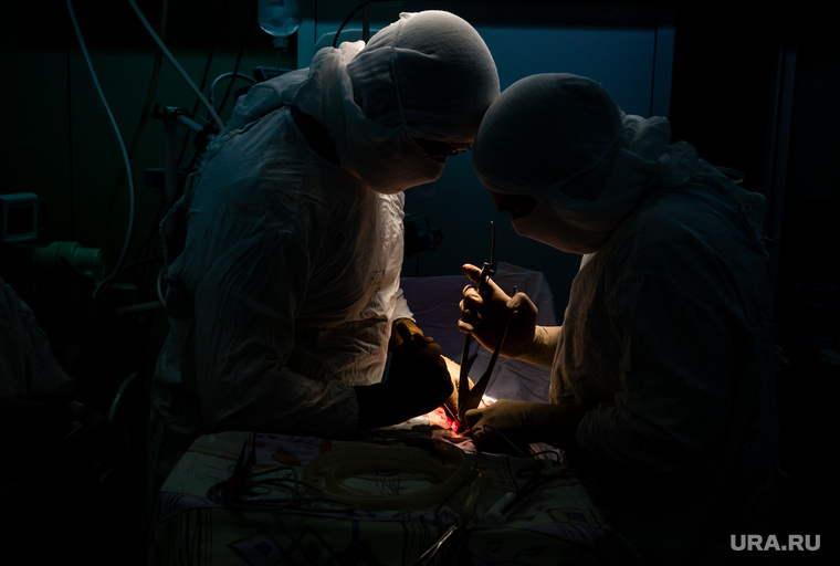 Операция на позвоночнике в Сургутской клинической травматологической больнице. Сургут, операция, руки хирурга, медицина