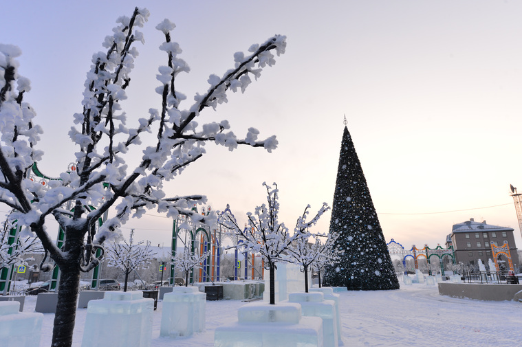 Центр столицы Ямала украсила 21-метровая новогодняя ель-конус, которая использовалась в прошлые годы