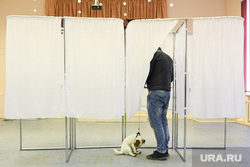 Пес на избирательном участке. Екатеринбург