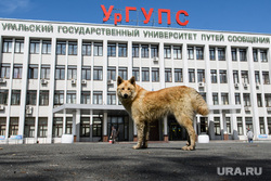 Сорок шестой день вынужденных выходных из-за ситуации с распространением коронавирусной инфекции CoVID-19. Екатеринбург