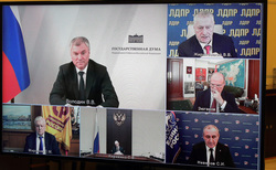 Представители Госдумы общались с президентом по видеосвязи