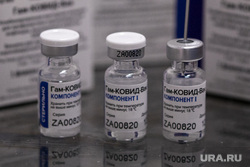Вакцинация от коронавирусной инфекции вакциной Спутник V (Гам-КОВИД-Вак). Москва