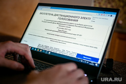 Дистанционное электронное голосование. Выборы-2021. Москва