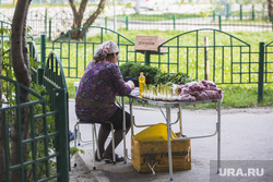 Лето в городе. Сургут