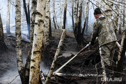 Тушение торфяного пожара возле поселка Безречный. Свердловская область, Березовский