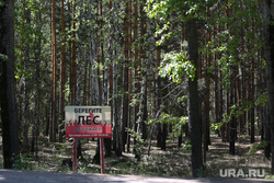 Курятник. Курган