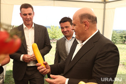 Михаил Мишустин во время посещения агрокомплекса в Кашире. Москва