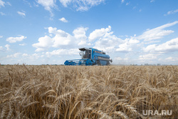 Уборка зерновых в Херсонской области. Херсон