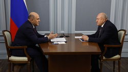 Премьер-министр РФ Михаил Мишустин (слева) поставил задачу найти и внедрить новые формы взаимодействия государства, науки и бизнеса