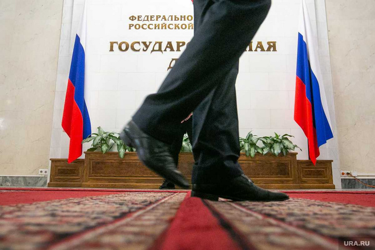 В Госдуме ищут диверсантов среди пермских депутатов