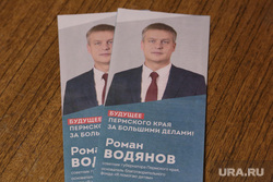 Подборка предвыборной агитации. Пермь