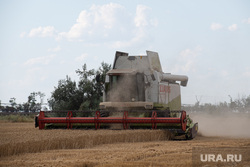 Уборка зерновых в Херсонской области. Херсон