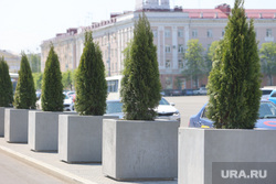 Туи. Курган