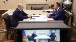 Премьер-министр РФ Михаил Мишустин (слева) заслушал доклад главы ФРП Романа Петруцы об итогах работы за 2022 год
