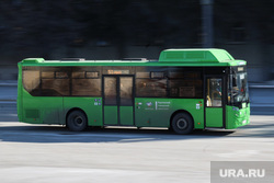 Город. Курган