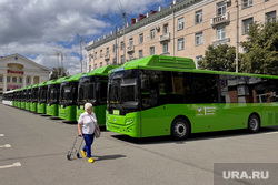 Автобусы. Курган 