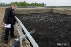 Навозохранилище красногорского свинокомплекса "Ариант". Челябинск