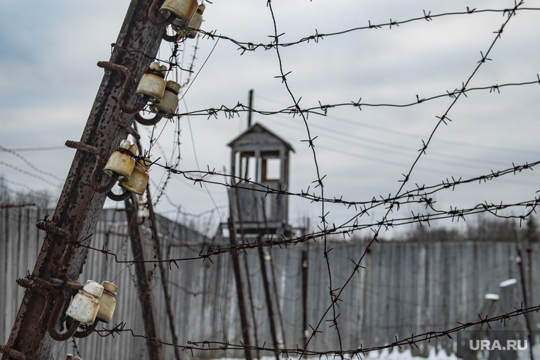 Музей заповедник истории политических репрессий "Пермь - 36". деревня Кучино, колючая проволока, зона, колония, тюрьма, колючка, уфсин, итк, гулаг, сторожевая вышка, иту
