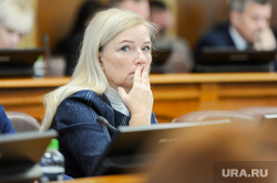 Заседание законодательного собрания. Челябинск