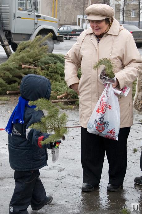Подготовка к Новому году Курган, ребенок, установка елки, сосновые ветки