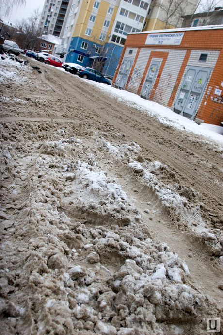 Серость городская Курган