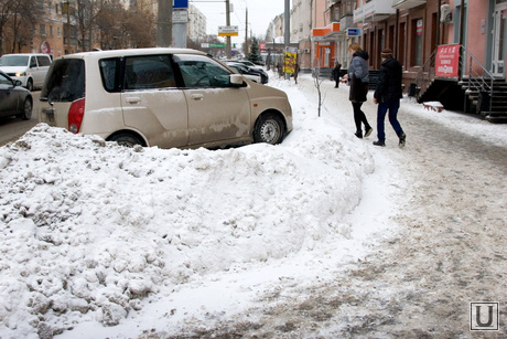 Серость городская Курган