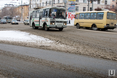 Серость городская Курган