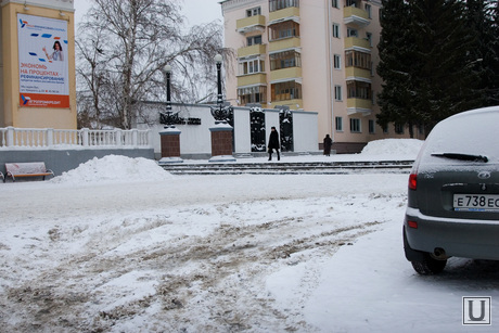 Серость городская Курган