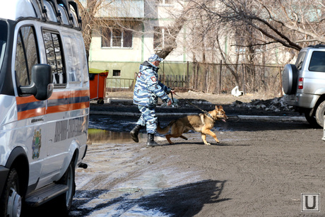 Гимназия 47 Курган