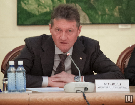 Совещание по инвестициям в резиденции губернатора. Екатеринбург, козицын андрей, инвестиционное совещание