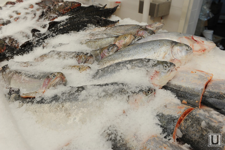 Ашан. Магазин. Продукты. Челябинск., рыба