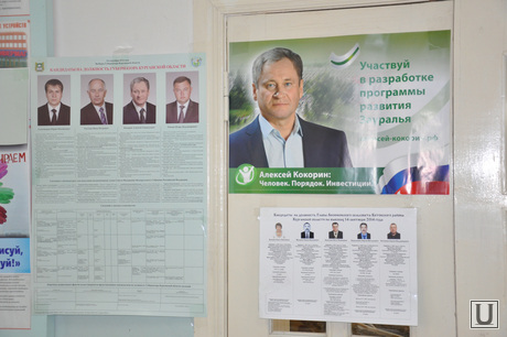 Досрочное голосование председателя избиркома Зауралья Светланы Гулькевич, голосование, гулькевич светлана
