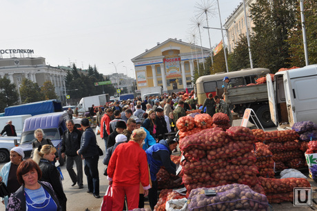 Выборы в Кургане 14 сентября 2014 года