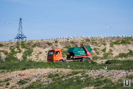 Полигон ООО 