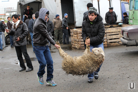 Курбан Байрам Курган, курбан байрам, мусульмане, барана несут