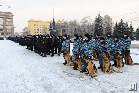 Полиция. Челябинск., собака, полиция, кинолог, строй