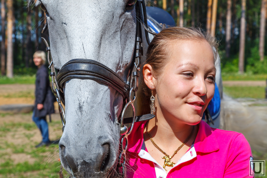 белая лошадь екатеринбург. катание на лошадях вдвоем. кск белая лошадь кадниково. фирма лошадь в екатеринбурге. белая лошадь киреевский район.