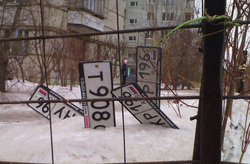 В Екатеринбурге обнаружены подснежники