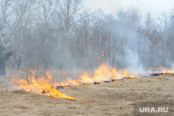 Лесные пожары. Учения МЧС. Челябинск