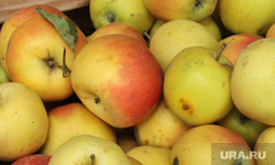 Цены на продукты Курган, яблоки