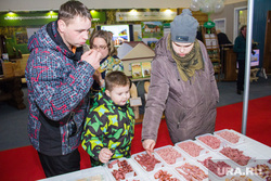 Продукты и товары. Ханты-Мансийск, продукты, проба, дегустация