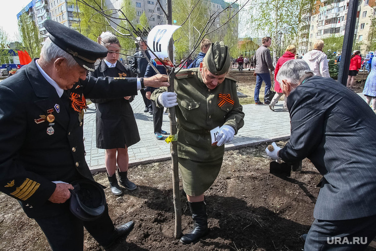 Дерево Победы, акция. Тюмень