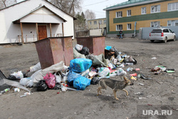Мусор и свалки в городе. Курган, мусор, улица омская30