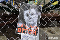Евромайдан. Киев, янукович виктор