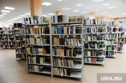 Клипарт. Снежинск. Челябинская область., библиотека, книги, стеллажи