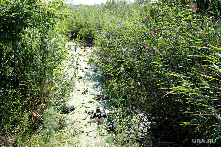 Свалки мусора  Курган, мусор на природе, болото