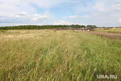 Вырубка леса КГСХА Курганская область, поле, свалка