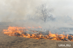 Лесные пожары. Учения МЧС. Челябинск, пожар, трава, огонь