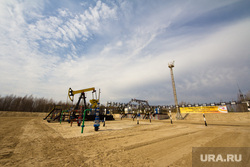 Роснефть. Нижневартовск , роснефть, качалка, куст, добыча нефти