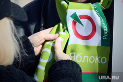 Пикет "Яблока" на Октябрьской площади против реформы местного самоуправления Екатеринбург, партия яблоко